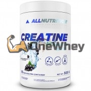 Creatine Muscle Max (500 гр: 83 порций), AllNutrition
