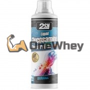 Glucosamine Chondroitin MSM (500 мл), 2SN