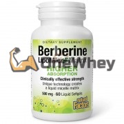 Berberine [LipoMicel Matrix] (60 шт по 500 мг), Natural Factors
