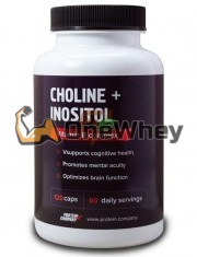 Choline + Inositol (120 шт), Protein Company