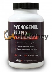 Pycnogenol (90 шт по 200 мг), Protein Company