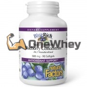 Blueberry Concentrate BlueRich® (90 шт по 500 мг), Natural Factors