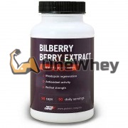 Bilberry Berry Extract (90 шт по 500 мг), Protein Company