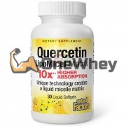 Quercetin [LipoMicel Matrix] (30 шт), Natural Factors