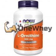L-Ornithine (120 шт по 500 мг), NOW Foods