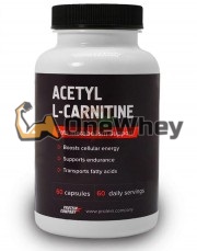 Acetyl L-Carnitine (500 мг x 60 капс), Protein Company
