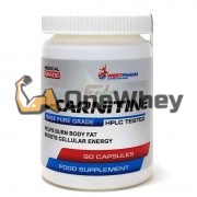 L-Carnitine (500 мг x 90 капс), Westpharm