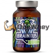 Braintus [Brain] (90 капс), OstroVit
