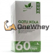 Gotu [Готу Кола] (500 мг x 60 капс), NaturalSupp