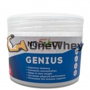 Genius [Фенилпирацетам] (10 гр x 100 порций), Noolect